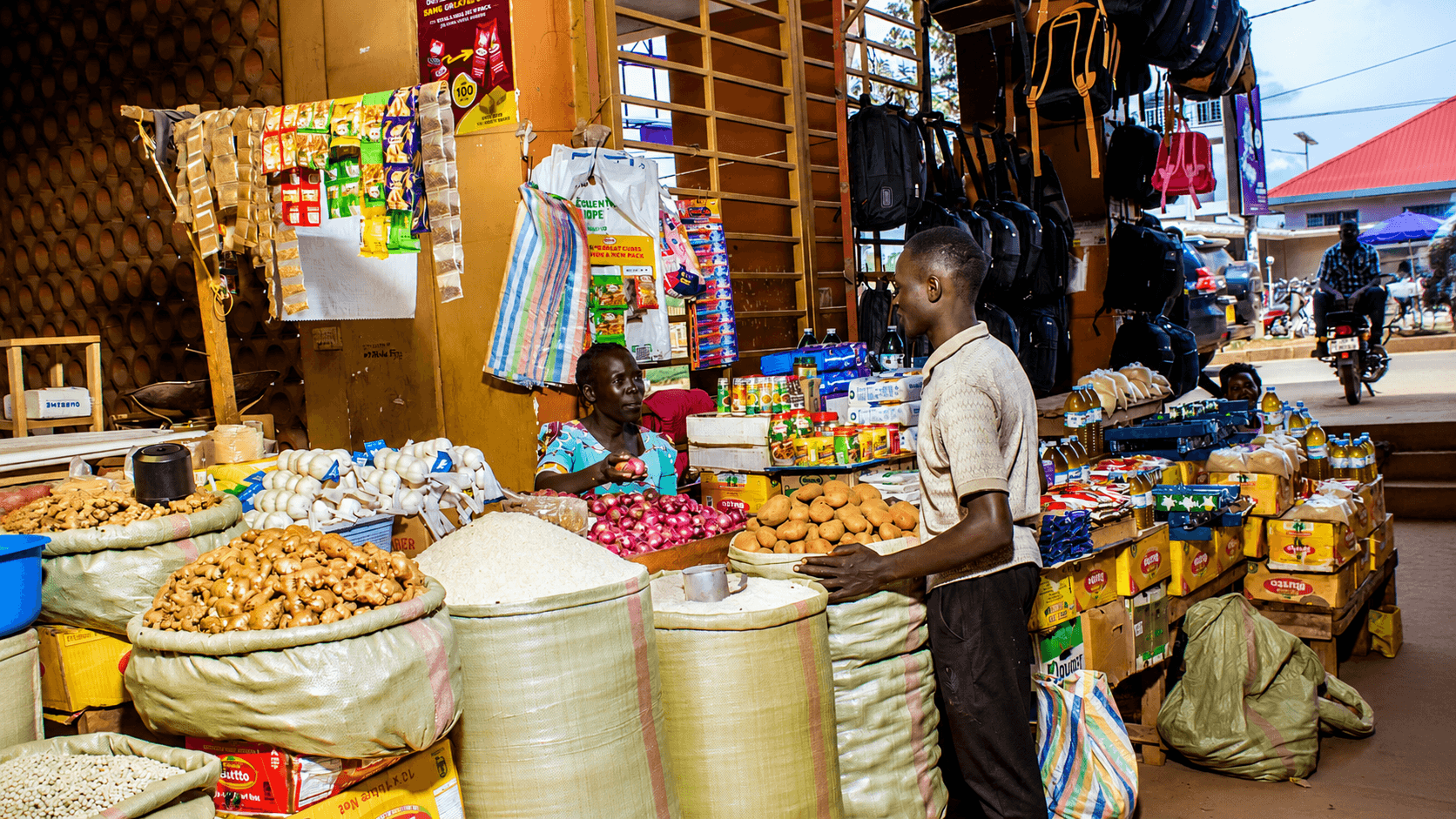 Annual Price Monitoring Report: Maize and Rice Markets in Africa 2023